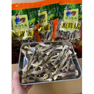 鹿茸菇