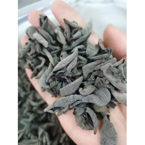 老鼠耳